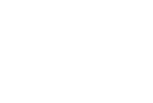 Hionic Logo